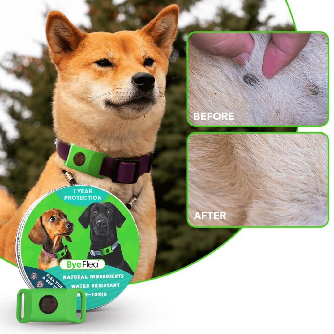 ByeFlea™ Pro 1-Year Natural Tick Tag